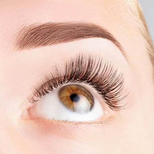 Shutterstock_1439717696